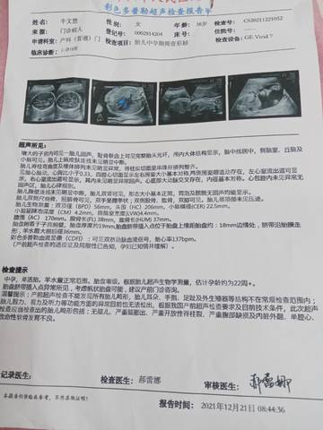 journal_insert_pic_1685148995