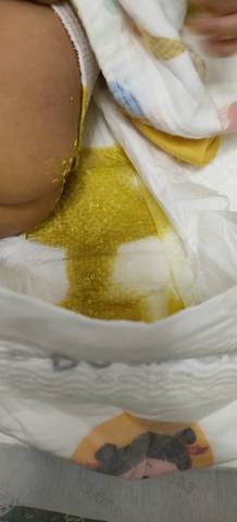 journal_insert_pic_1674288864