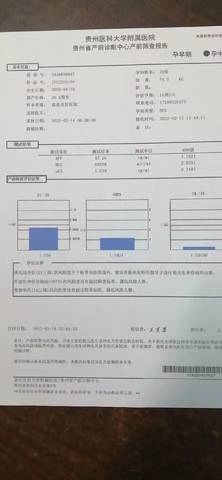 journal_insert_pic_1720009214