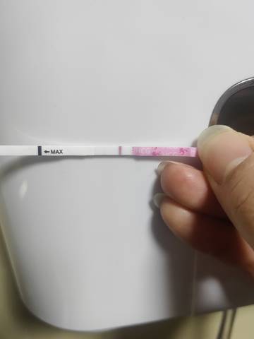 journal_insert_pic_1719659939