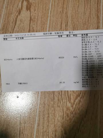 journal_insert_pic_1690221301