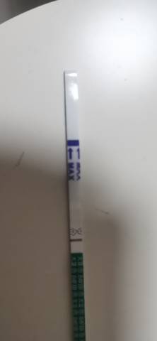 journal_insert_pic_1673189994