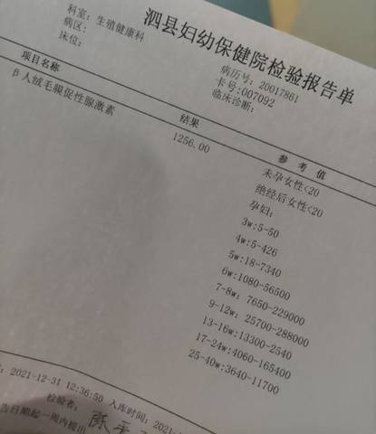journal_insert_pic_1689579790