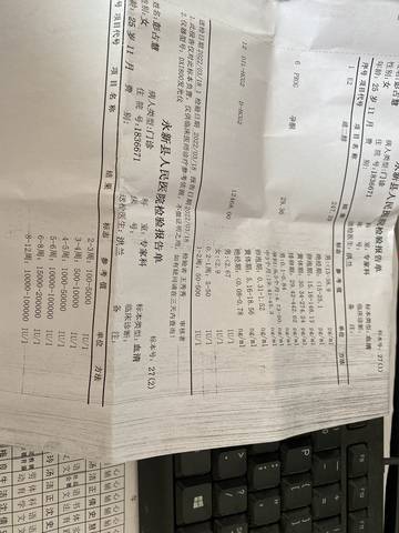 journal_insert_pic_1741180516