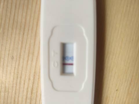 journal_insert_pic_1719629359