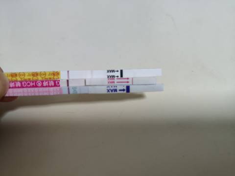 journal_insert_pic_1688558747