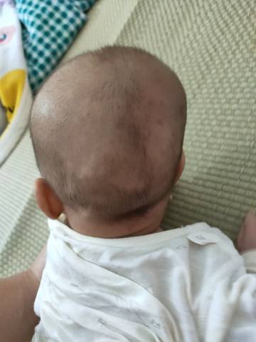 journal_insert_pic_1683206462