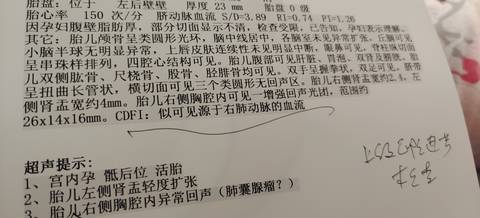 journal_insert_pic_1682594457