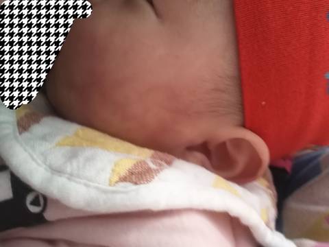 journal_insert_pic_1689500329