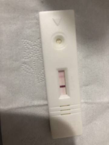 journal_insert_pic_1680160853