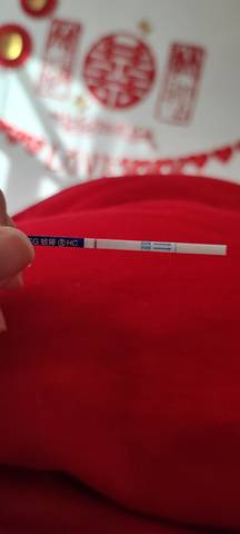 journal_insert_pic_1682418559