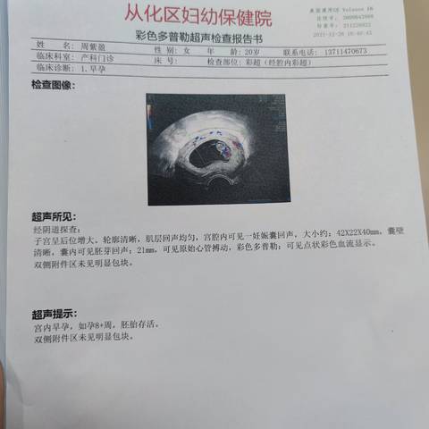 journal_insert_pic_1686422845
