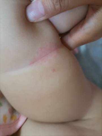 journal_insert_pic_1676100831