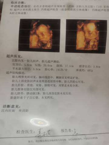 journal_insert_pic_1686052438