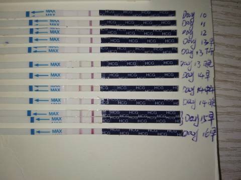 journal_insert_pic_1685125414