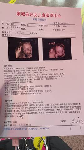 journal_insert_pic_1686091657