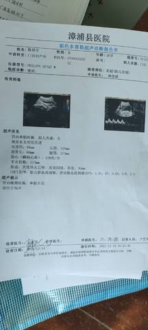 journal_insert_pic_1688760900