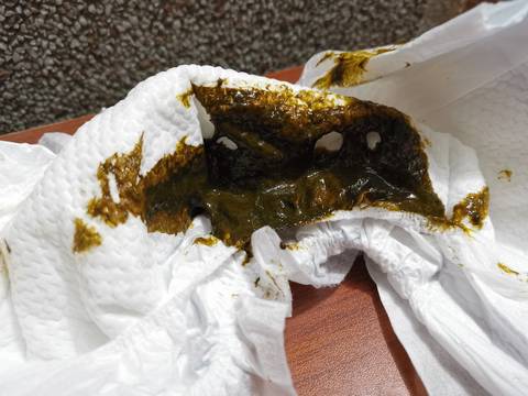 journal_insert_pic_1690154023