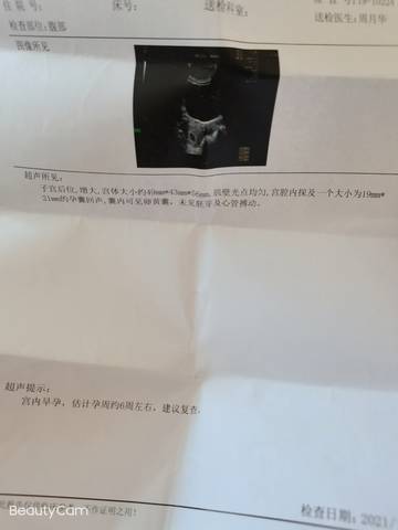 journal_insert_pic_1684052332