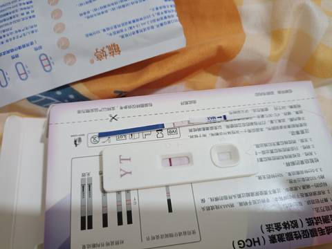 journal_insert_pic_1684437417