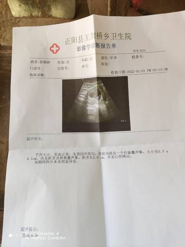 journal_insert_pic_1690224592