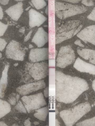 journal_insert_pic_1676087635