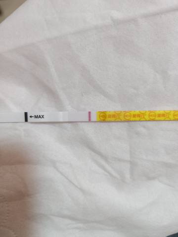 journal_insert_pic_1682302201