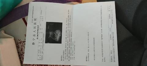 journal_insert_pic_1674602343