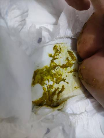 journal_insert_pic_1690270176