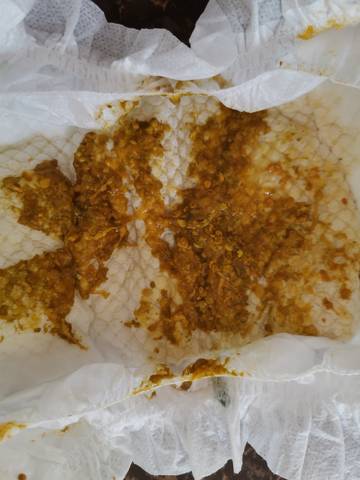 journal_insert_pic_1690140585