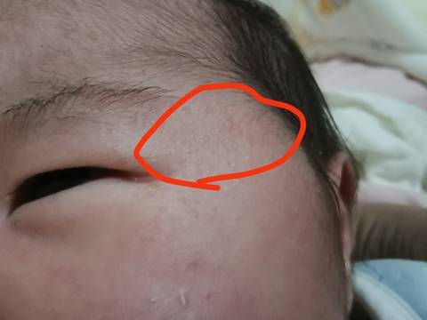 journal_insert_pic_1685828145