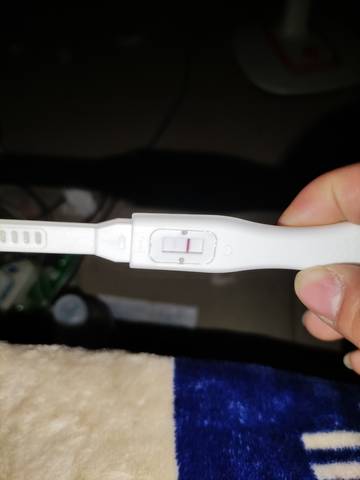 journal_insert_pic_1681295287