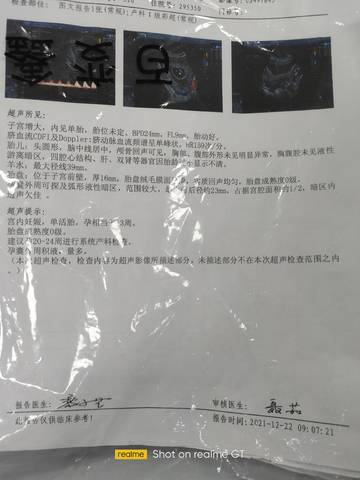 journal_insert_pic_1685369993