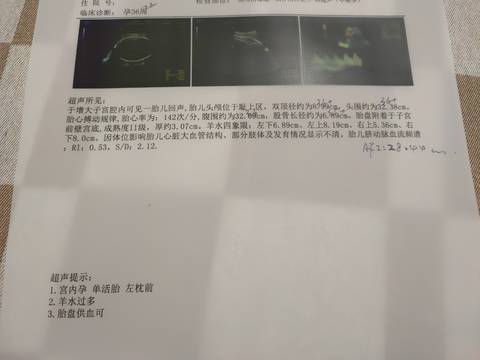 journal_insert_pic_1689019307