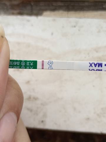 journal_insert_pic_1689364661