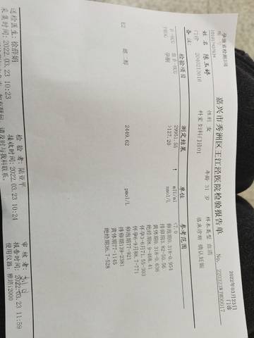 journal_insert_pic_1740923846