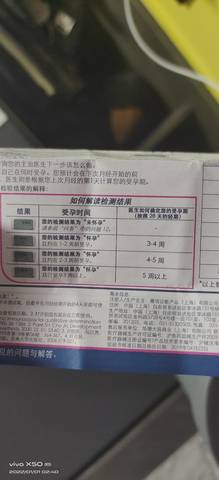 journal_insert_pic_1689907073