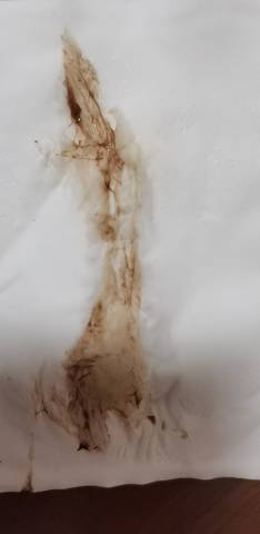 journal_insert_pic_1674013284