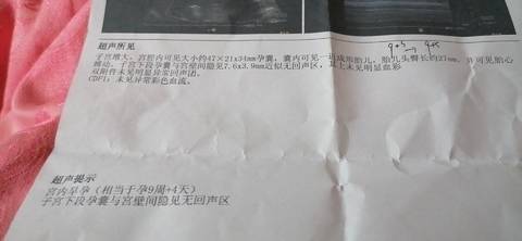 journal_insert_pic_1683134513