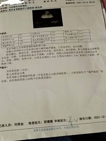 journal_insert_pic_1679305730