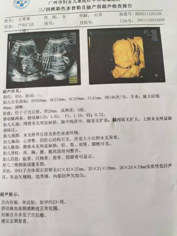 journal_insert_pic_1685318651