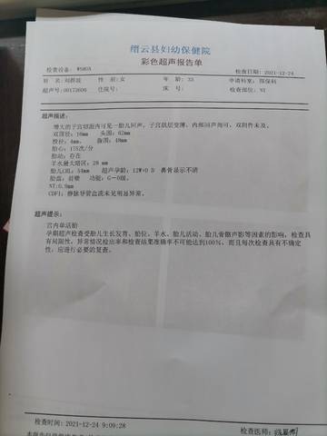 journal_insert_pic_1686555196