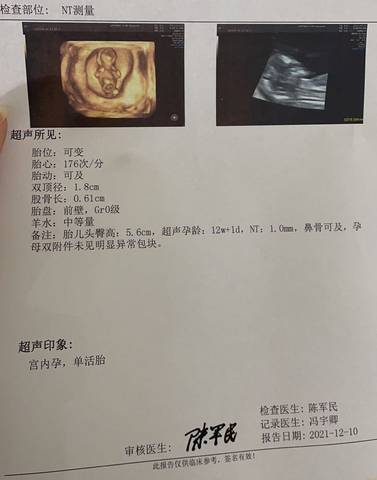 journal_insert_pic_1677435081