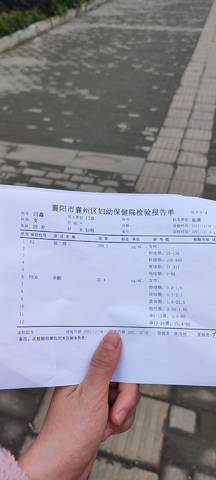 journal_insert_pic_1680997027