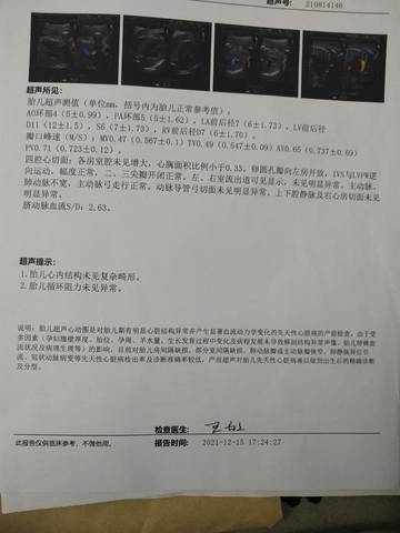 journal_insert_pic_1681149445