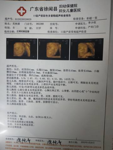 journal_insert_pic_1741107175