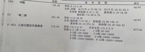 journal_insert_pic_1684299138