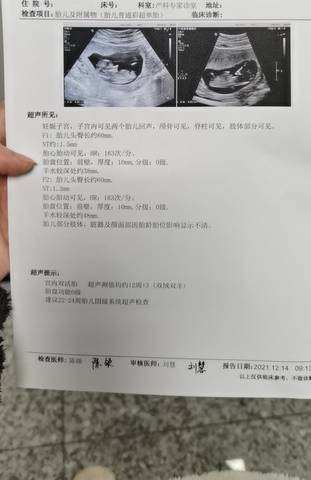 journal_insert_pic_1684182335