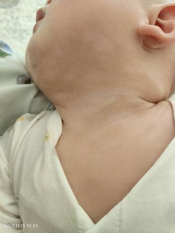 journal_insert_pic_1676083283