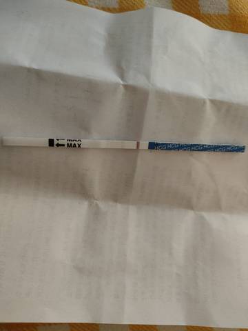 journal_insert_pic_1685922784